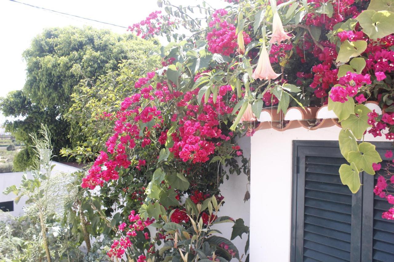 Villa Casinha Da Andorinha - Ericeira Exterior foto